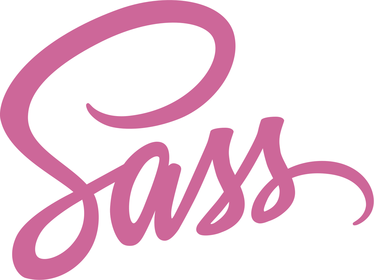 logo_sass